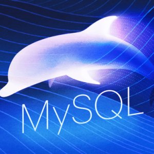 ASP MySQL Veritabanında Bir Sütundaki Veri Sayısını Bulmak, Verileri Toplamak