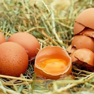 Yumurtanın Taze veya Bayat Olup Olmadığı Nasıl Anlaşılır?